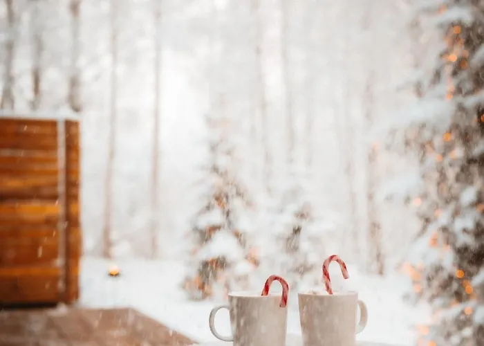 Aava Riverside Jaktstuga *