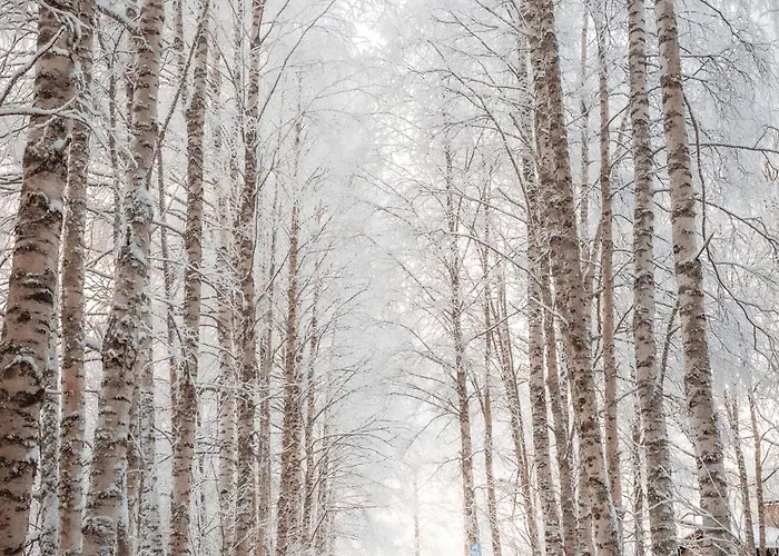 Aava Riverside Lodge *